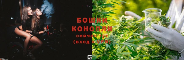 круглые Бородино