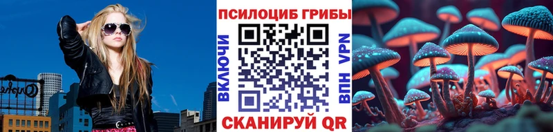 Псилоцибиновые грибы Cubensis  Владивосток 